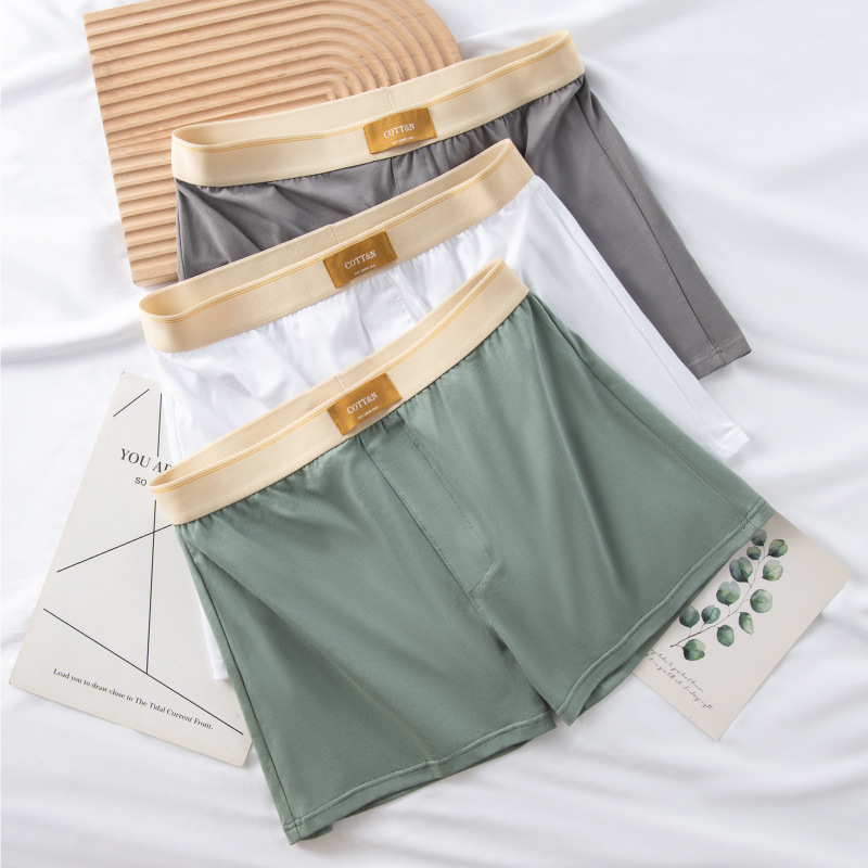 Celana dalam pria, 4 buah pria - Boxer Brief Pack Cotton ulasan dan harga