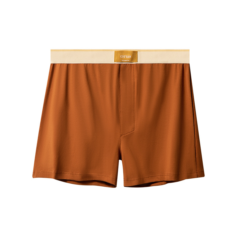 Celana dalam pria, 4 buah pria - Boxer Brief Pack Cotton ulasan dan harga